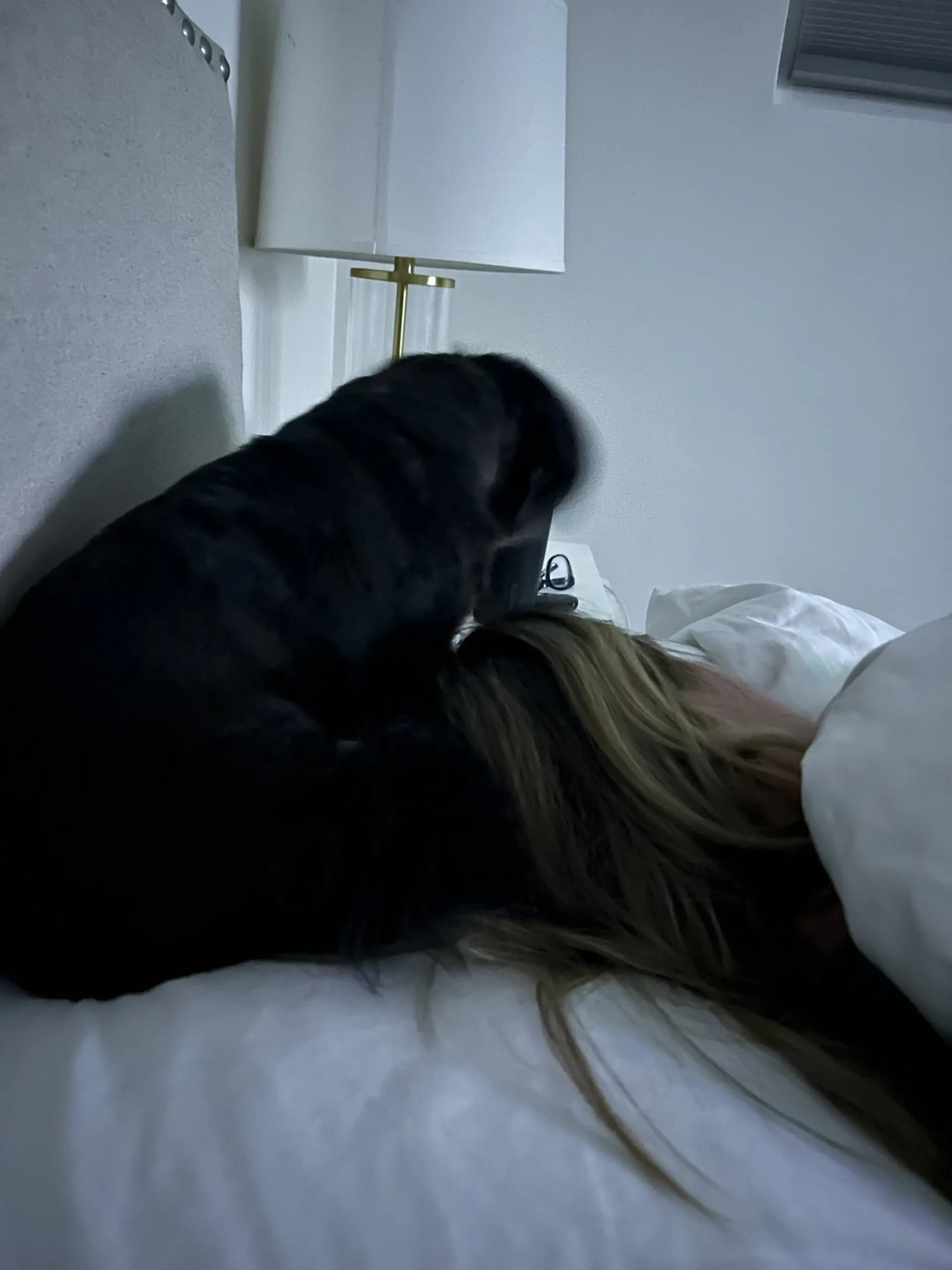 2007 Mercedes-Benz CLS Class CLS63 AMG